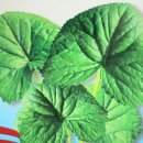 경신농약사 이미지