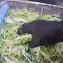 대확행스토어 이미지