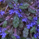 금창초등학교 이미지