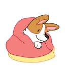 모라동물병원 이미지