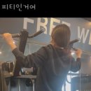 피티인거여 이미지