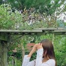 줄리에뜨 펜션 이미지