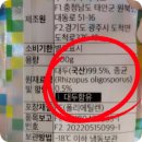 단백질 듬뿍 템페 tempeh로 비건 요리 뚝딱 완성