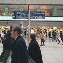 일본 후지산, 동경 / 요코하마 관광 이미지