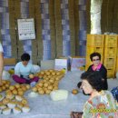 성도농장 이미지