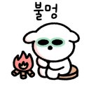 곤충나라 사과테마파크 오토캠핑장 이미지