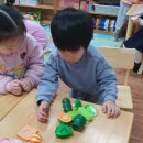 좋은열매 어린이집 이미지