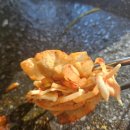 성북-길음-3397 이미지