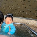 키즈 스플래쉬 | 어린이집 물놀이 수영복, 체온보호 키즈 래쉬가드: 스플래쉬어바웃 사이즈, 2년 후기