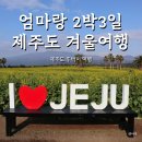 함덕등대 | 제주도 겨울 여행 2박3일 코스 엄마랑 뚜벅이 여행 일정 맛집 총정리