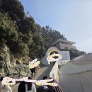 마이퍼피 경남거제점 | (경남 거제) 가볼 만한 곳 외도 보타니아 식물원 수목원