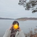 호명면 새움3로 20 베스킨라빈스 앞 | 2박 3일 여유로운 안동 힐링여행 코스 나솔16기장소 (가볼만한 곳, 실패없는 찐맛집 추천)