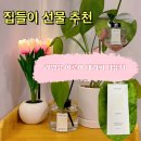 집들이 선물용으로 좋은 인테리어 디퓨저 라임유 페어 프리지아 후기