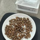 [보통의 커피일기] Big Sur Coffee - Ethiopia Sewda Heirloom Washed (Premium)