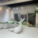 헷세드대구수성지점