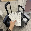 고대카서비 | 후쿠오카 여행코스 추천 모모치해변부터 다자이후, 캐널시티 등등 후기
