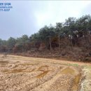 교로1리마을회관 이미지