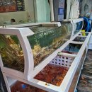 노원-상계-2066 | 상계역맛집 속초붉은대게 노원대게집 가성비장소