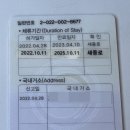 은평 행정사 이미지