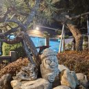 울산삼계탕 일산가족모임 울산동구 아리아 영계백숙 왕갈비탕