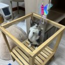 시유편의점