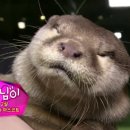 햇님농장 이미지