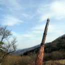 효자동 297 이미지