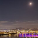 응봉산팔각정 이미지
