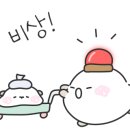 둥지분식 이미지