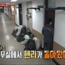 아이큐당구장 - 수원시 팔달구 경수대로 563 | 아이큐당구장