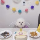 댕발란스 이미지