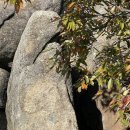주식투자 아침메모 12월 3일(화요일) 한국 반도체기업의 HBM 중국 수출 통제 당해,,,미국 증시, 반도체...