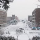 [대한일보 12.21]'청운대학교에서 산학의 꿈' 실현 이미지