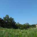 하단동205 이미지