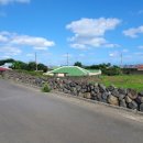 제주신공항부동산공인중개사사무소 이미지