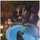 처음처럼 펜션 이미지