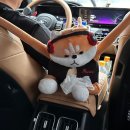 카카오T펫택시(백석점) | 너무나 편했던 카카오T펫 펫택시 이용 후기 💨