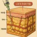 나주사 이미지