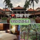 묵고또묵고 | 🇻🇳 베트남 다낭숙소 추천, 자연에서의 완벽한 휴양지 푸라마호텔(furama resort) 숙박 후기