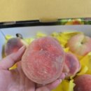 청수농원 이미지