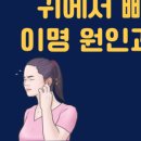 윙윙흑염소 네이버블로그