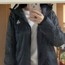 애견동반 가능 현대프리미엄 아울렛 대전점/ CC collect 코트 추천