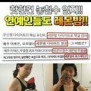 디에스에이 이미지