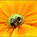 오늘하루가 이미지