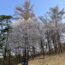 화성상록GC