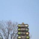 조안1리 마을회관 이미지