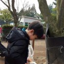 까망흑염소농장 이미지