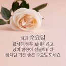 인사말 이미지 이미지