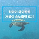 뷰티크호텔슈퍼로켓 | 신혼여행] 하와이 와이키키 거북이 스노쿨링 후기 (업체 추천, 장비대여, 멀미, 팁, 복장, 고프로 등)