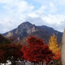 백양사 쌍계루 이미지